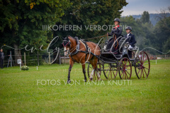 NationalFM_Fahren_001 NationalFM_Fahren_001