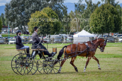 NationalFM_Fahren_300