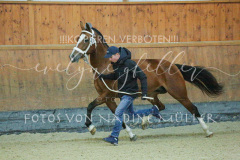 4-2F3A1818 4-2F3A1818