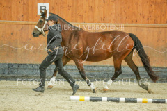 6-2F3A2203 6-2F3A2203