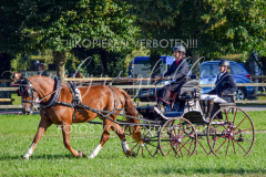 NationalFM_Fahren_655