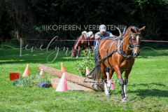 NationalFM_HolzM_01 NationalFM_HolzM_01