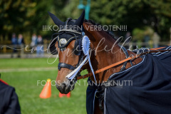 NationalFM_Fahren_280