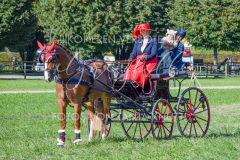 NationalFM_Fahren_401 NationalFM_Fahren_401