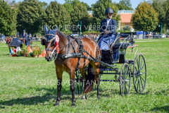 NationalFM_Fahren_772