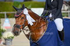 Gwatt_12_B65_630 Gwatt_12_B65_630