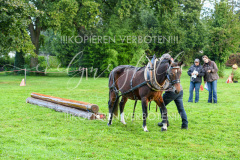 NationalFM_Holz_005 NationalFM_Holz_005