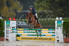 Gwatt_06_RN100_500 Gwatt_06_RN100_500